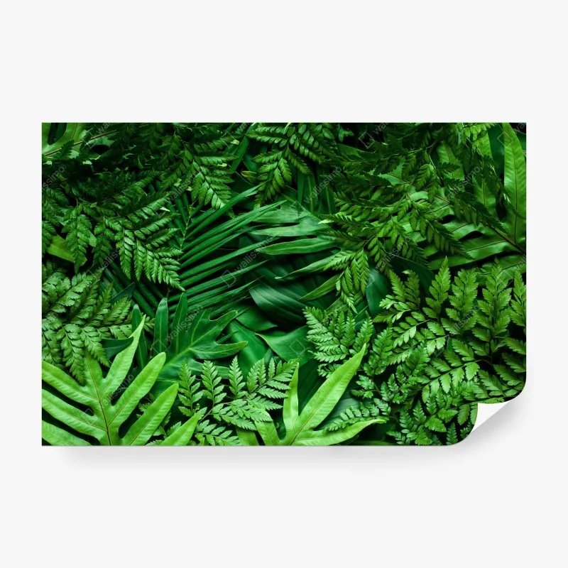 Fototapeta czarny geometryczny wzór z kół i półkół – Wallissimo®