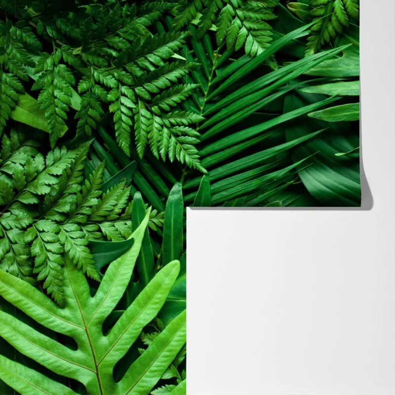 Fototapeta bujny zielony wzór liści – Wallissimo® Fototapeta bujny zielony wzór liści – Wallissimo®