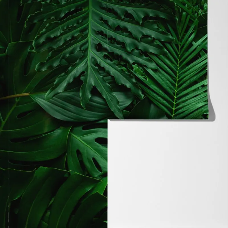 Fototapeta bujne tropikalne liście – Wallissimo® Fototapeta bujne tropikalne liście – Wallissimo®