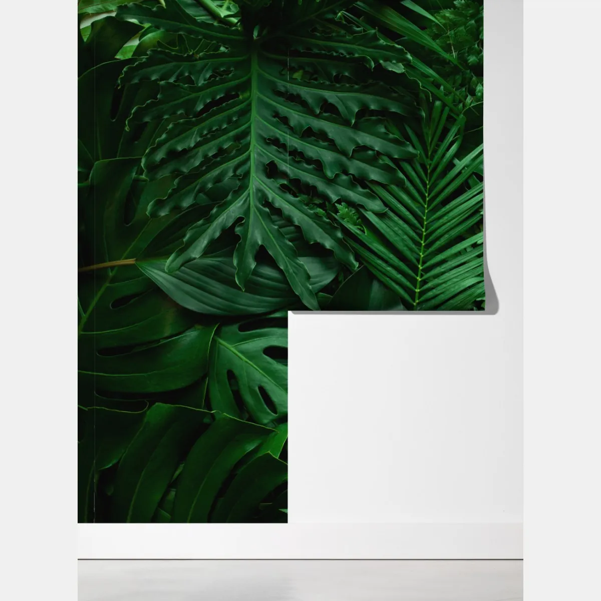 Fototapeta bujne tropikalne liście – Wallissimo® Fototapeta bujne tropikalne liście – Wallissimo®