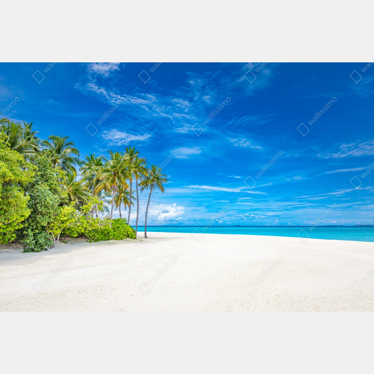 Fototapeta tropikalna plaża z palmami – Wallissimo® Fototapeta tropikalna plaża z palmami – Wallissimo®