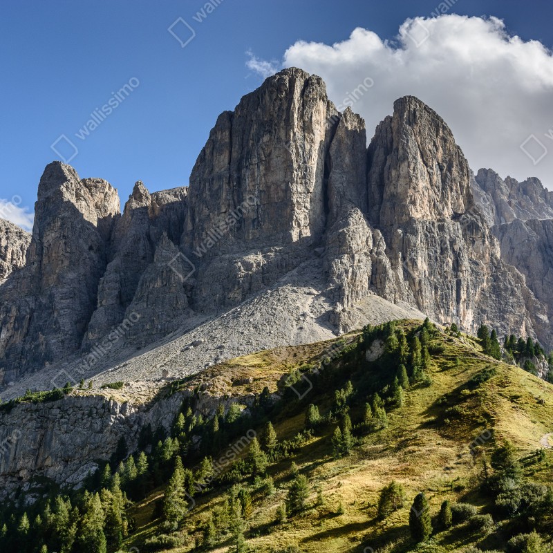 Fototapeta majestatyczne alpejskie szczyty nad zielonymi zboczami – Wallissimo® Fototapeta majestatyczne alpejskie szczyty nad zielonymi zboczami – Wallissimo®