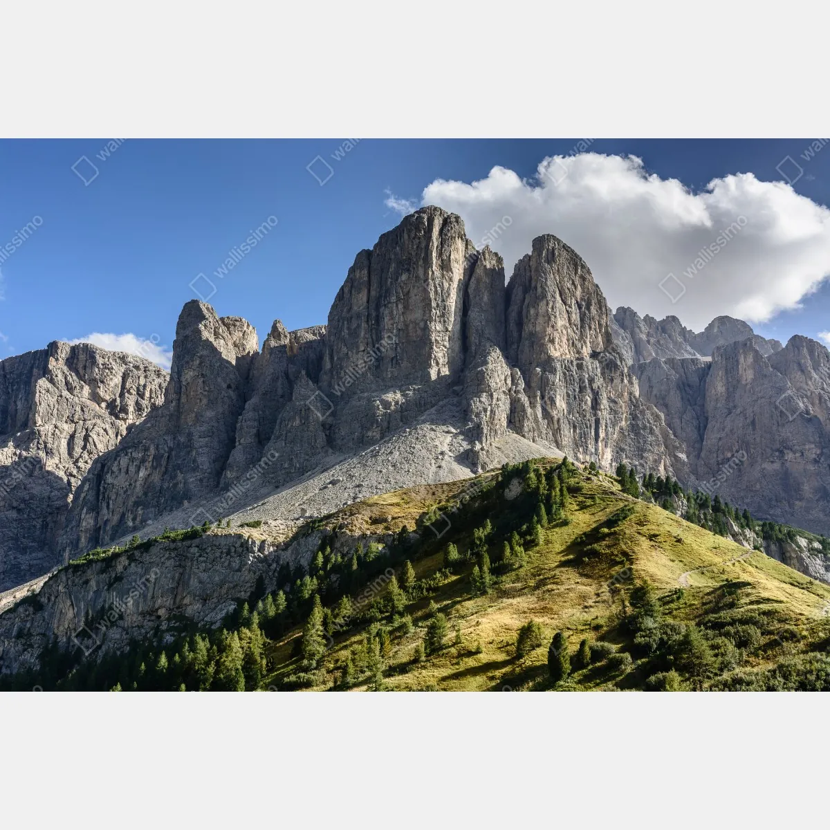 Fototapeta majestatyczne alpejskie szczyty nad zielonymi zboczami – Wallissimo® Fototapeta majestatyczne alpejskie szczyty nad zielonymi zboczami – Wallissimo®