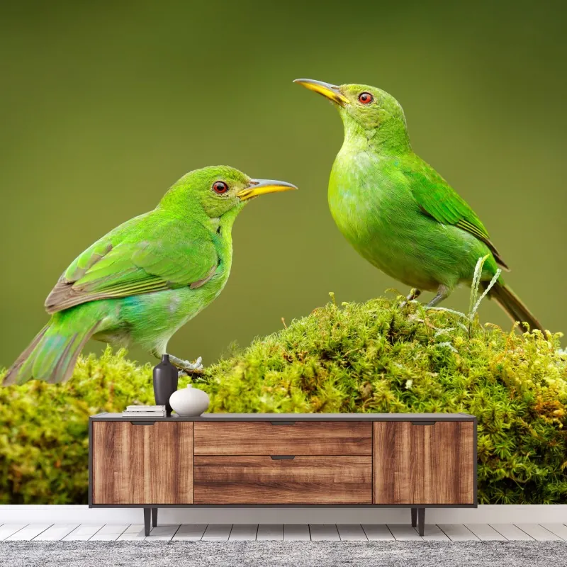 Fototapeta intensywne zielone miodojady na mchu