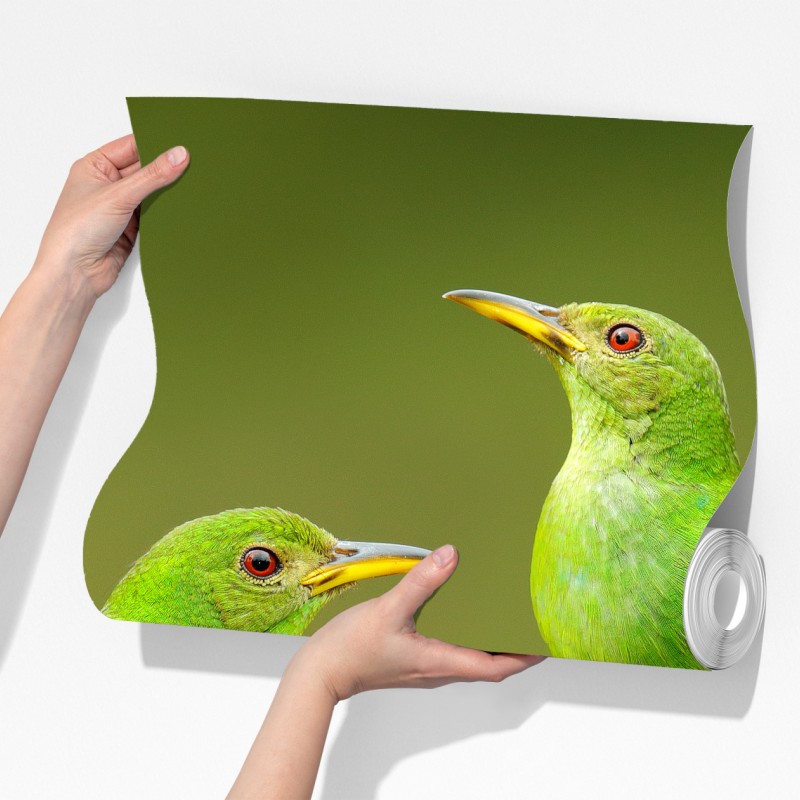 Fototapeta intensywne zielone miodojady na mchu – Wallissimo® Fototapeta intensywne zielone miodojady na mchu – Wallissimo®