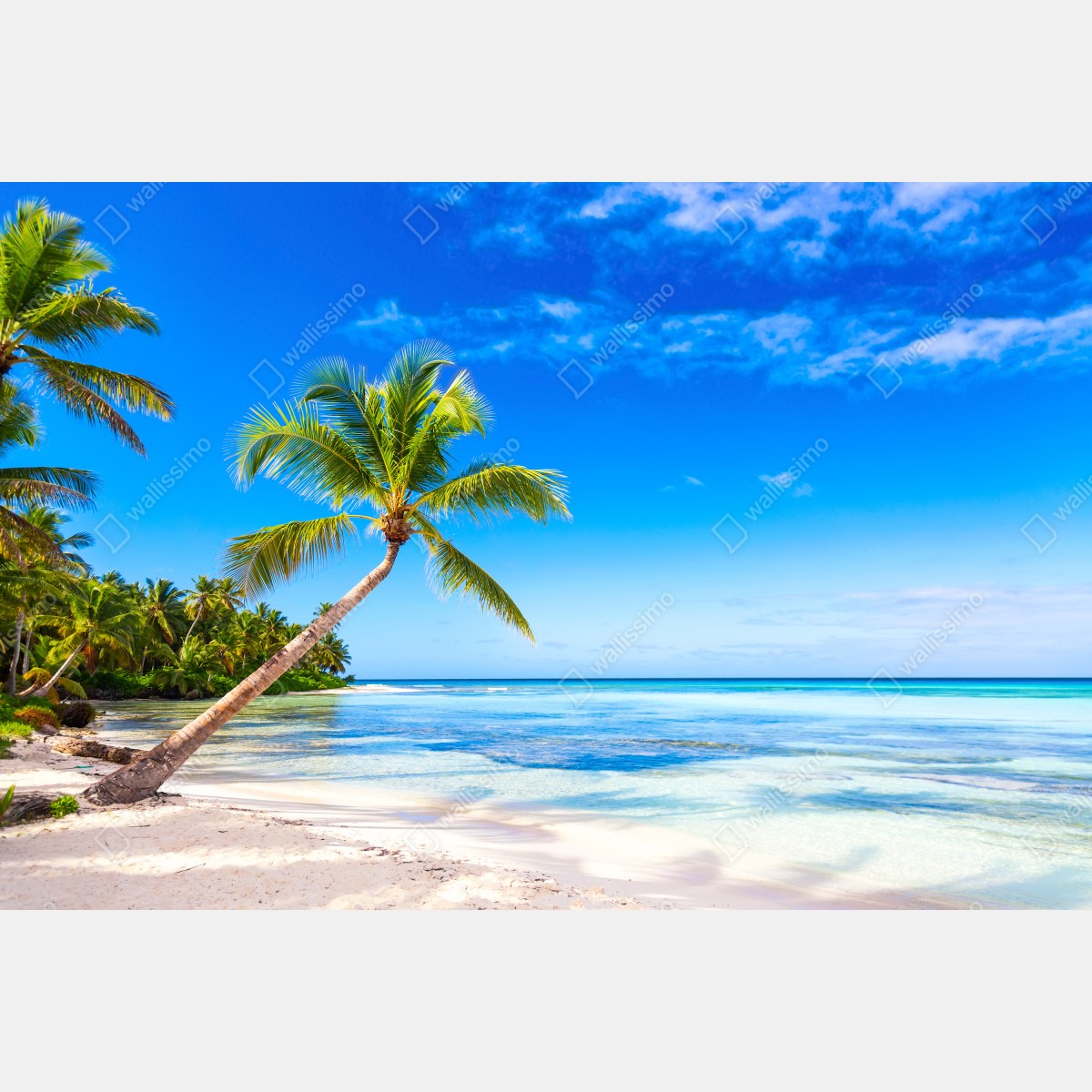 Fototapeta tropikalna plaża z palmą – Wallissimo® Fototapeta tropikalna plaża z palmą – Wallissimo®