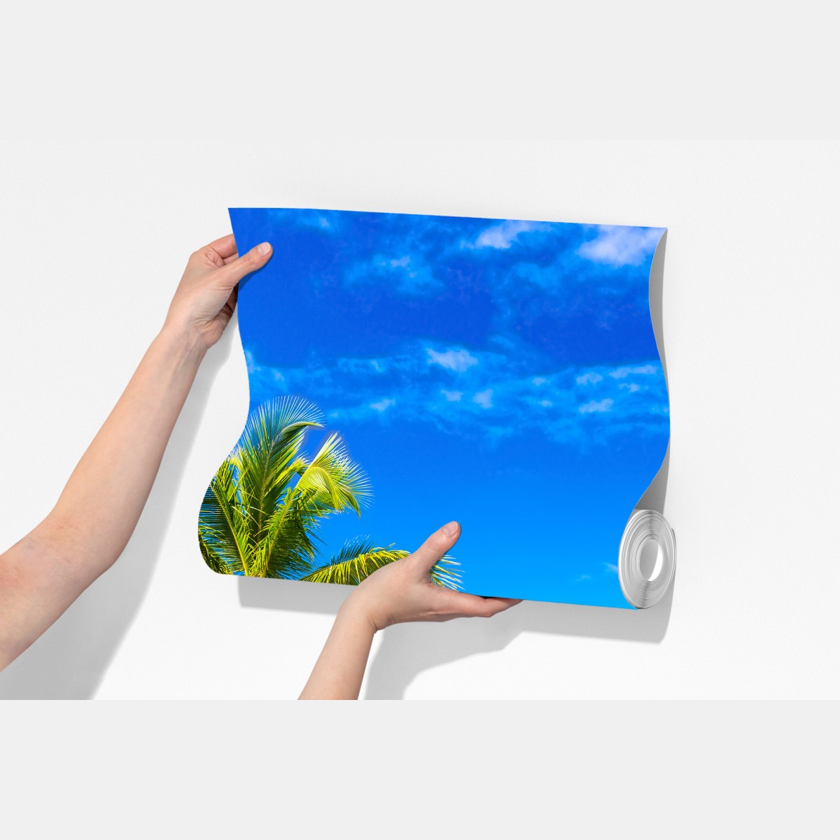 Fototapeta tropikalna plaża z palmą – Wallissimo® Fototapeta tropikalna plaża z palmą – Wallissimo®