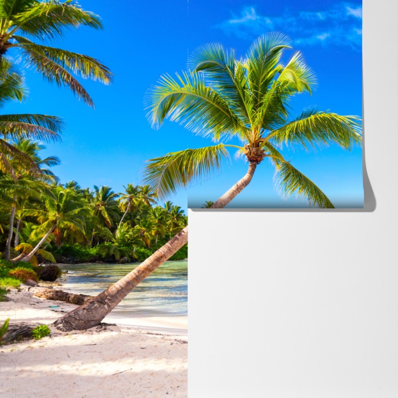 Fototapeta tropikalna plaża z palmą – Wallissimo® Fototapeta tropikalna plaża z palmą – Wallissimo®