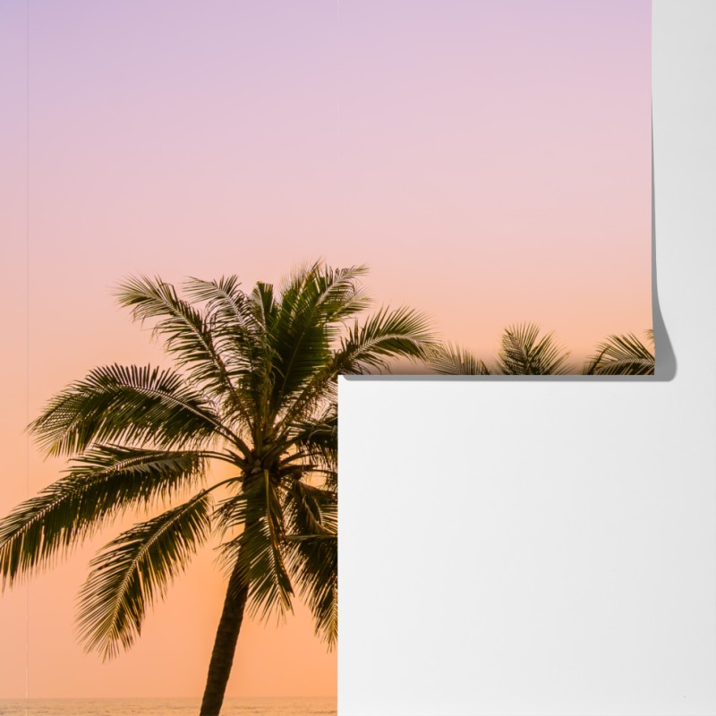 Fototapeta tropikalny zachód słońca z palmami na plaży – Wallissimo® Fototapeta tropikalny zachód słońca z palmami na plaży – Wallissimo®