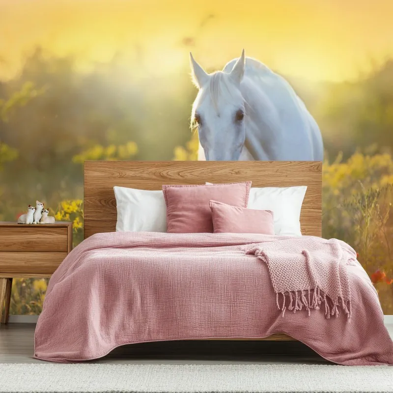 Fototapeta biały koń na łące maków o wschodzie słońca