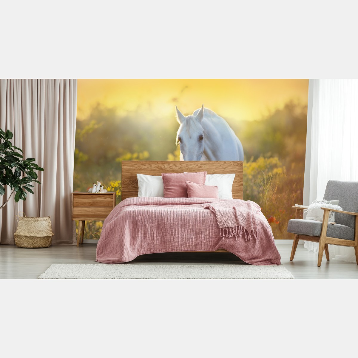 Wall mural white horse in poppy meadow at sunrise