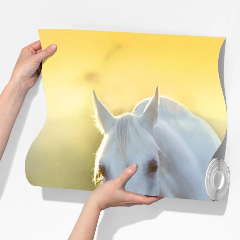 Fototapeta biały koń na łące maków o wschodzie słońca – Wallissimo® Fototapeta biały koń na łące maków o wschodzie słońca – Wallissimo®