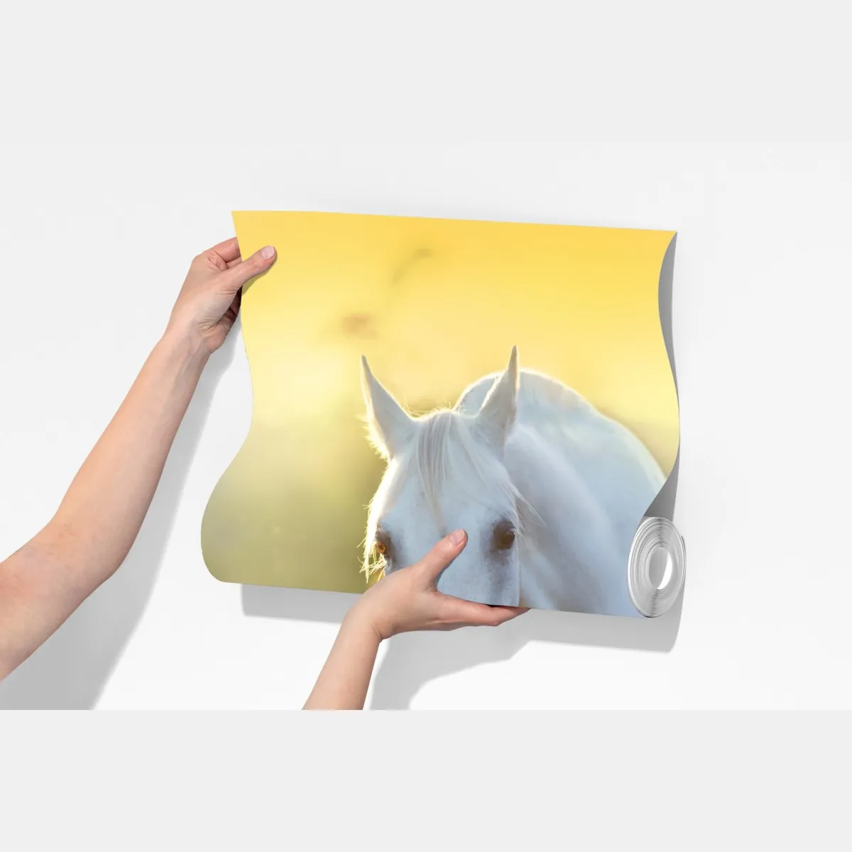 Fototapeta biały koń na łące maków o wschodzie słońca – Wallissimo® Fototapeta biały koń na łące maków o wschodzie słońca – Wallissimo®