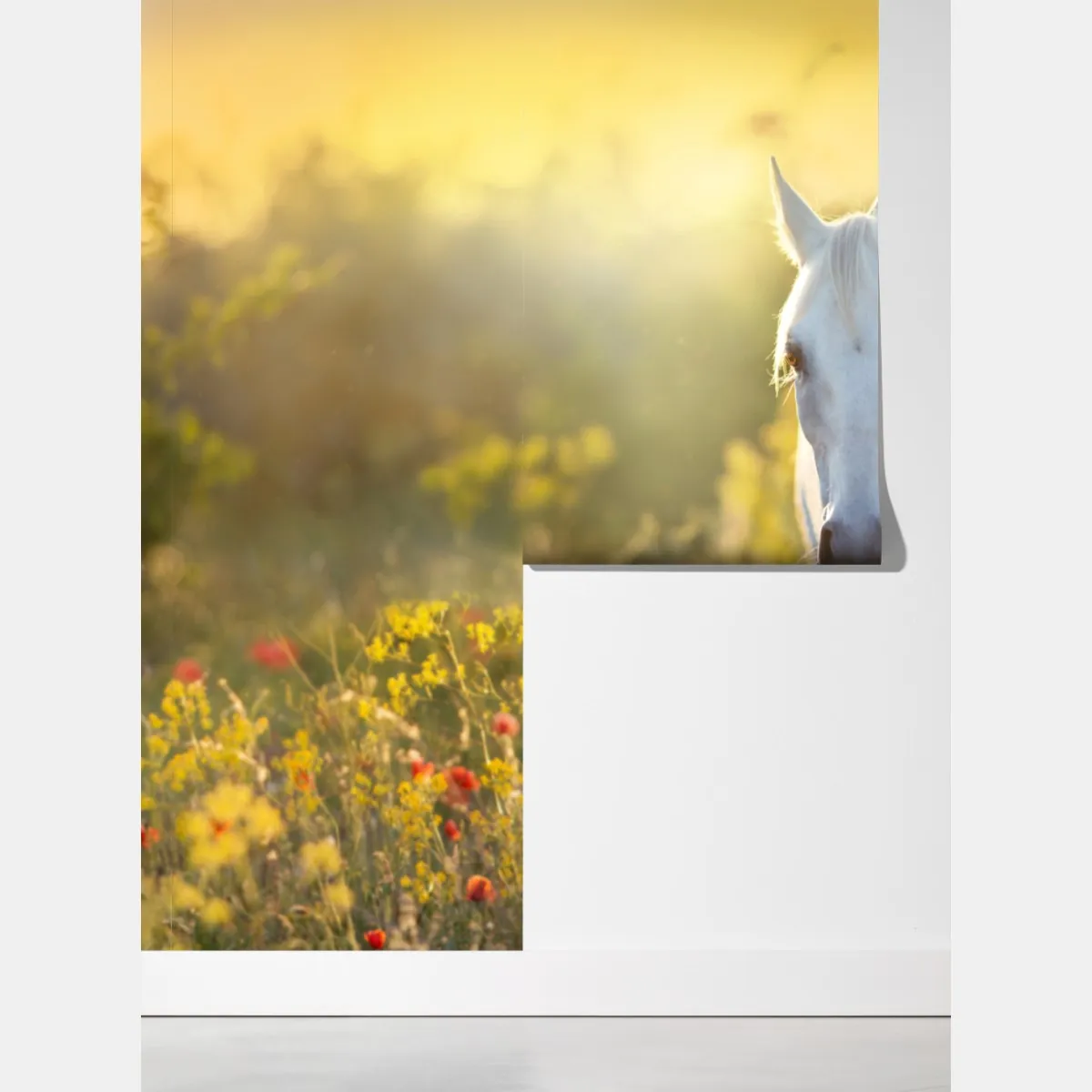 Fototapeta biały koń na łące maków o wschodzie słońca – Wallissimo® Fototapeta biały koń na łące maków o wschodzie słońca – Wallissimo®