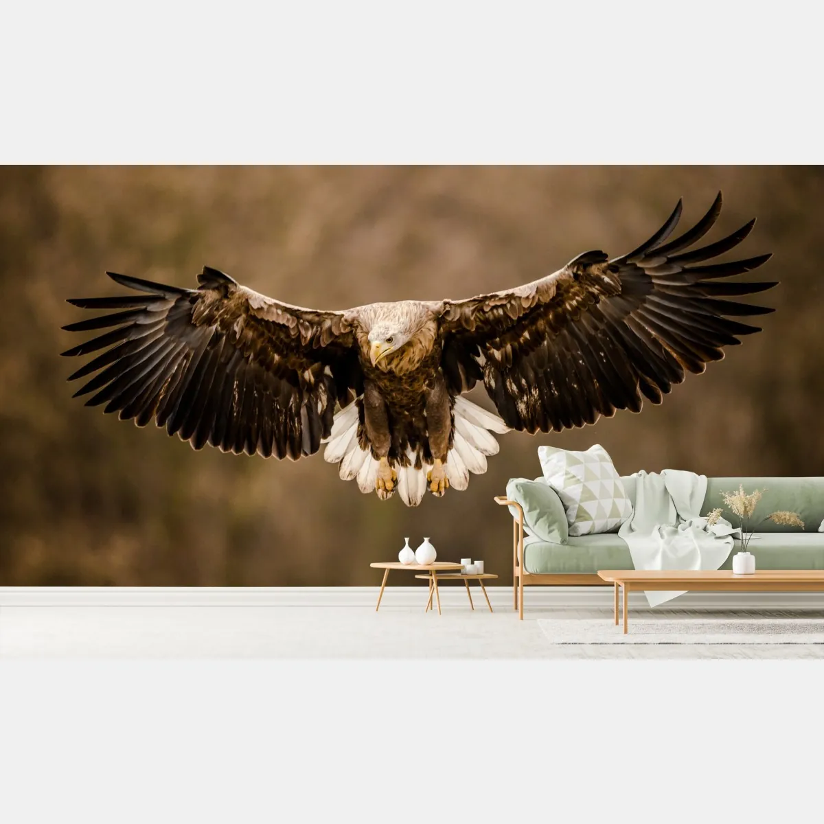 Fototapeta majestatyczny orzeł w locie – Wallissimo® Fototapeta majestatyczny orzeł w locie – Wallissimo®