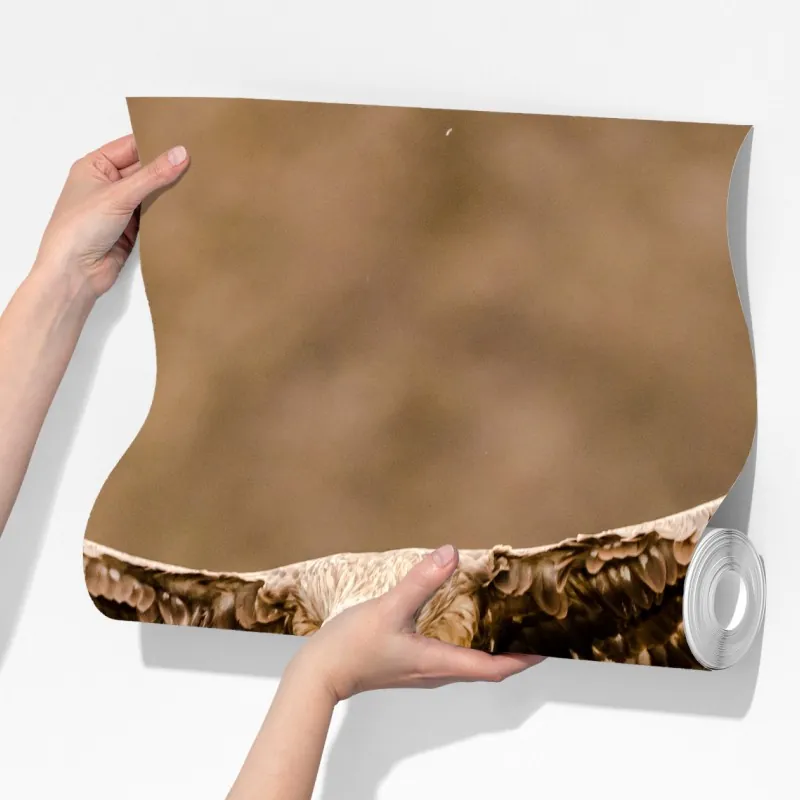 Fototapeta majestatyczny orzeł w locie – Wallissimo® Fototapeta majestatyczny orzeł w locie – Wallissimo®