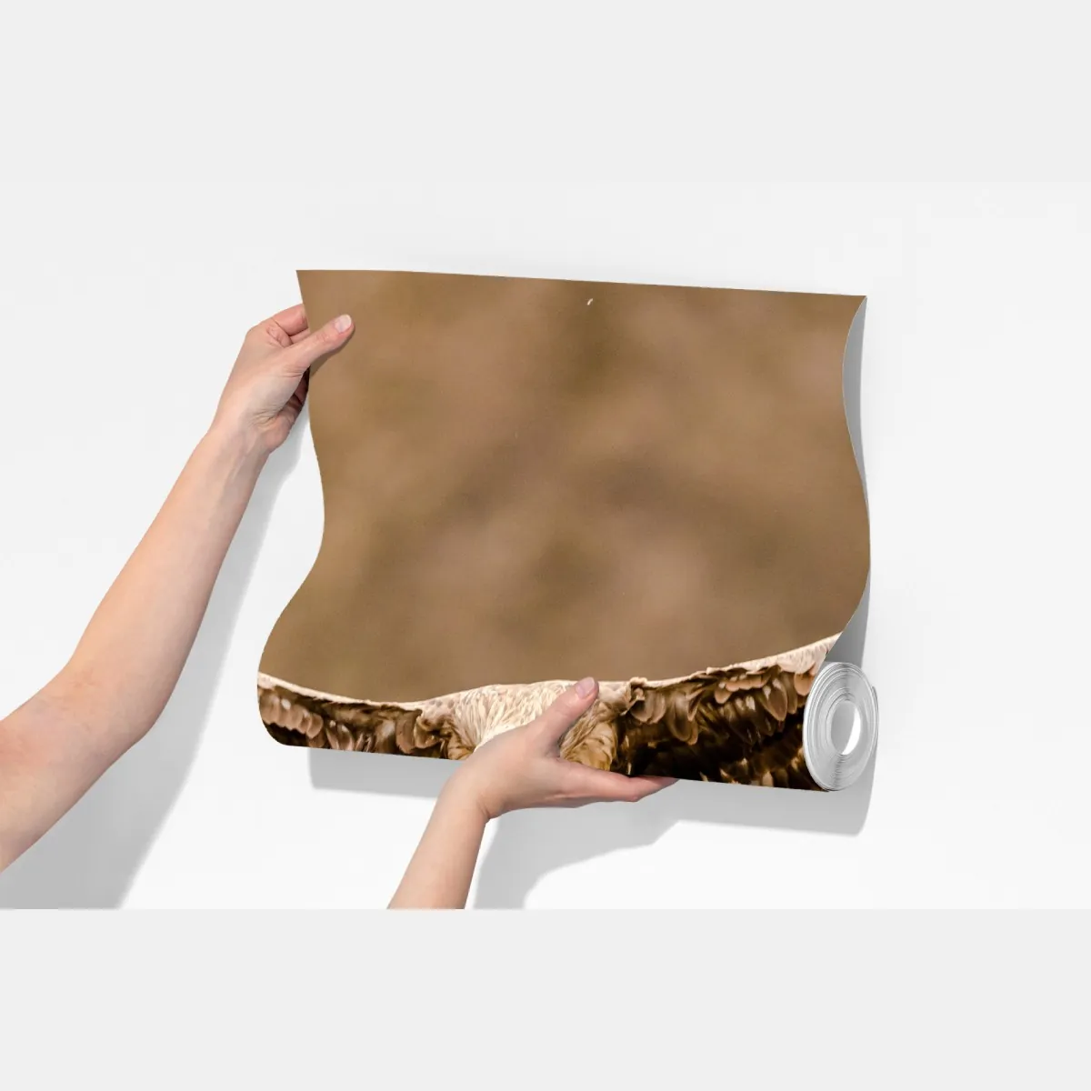 Fototapeta majestatyczny orzeł w locie – Wallissimo® Fototapeta majestatyczny orzeł w locie – Wallissimo®