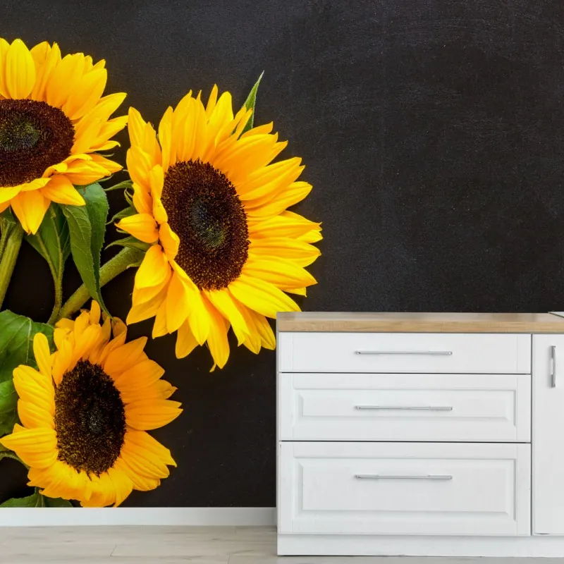 Fototapeta bukiet słoneczników na czarnym tle