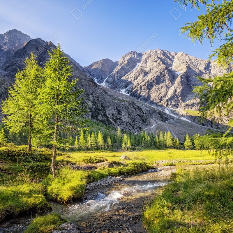 Fototapeta alpejska łąka z górskim strumieniem – Wallissimo® Fototapeta alpejska łąka z górskim strumieniem – Wallissimo®