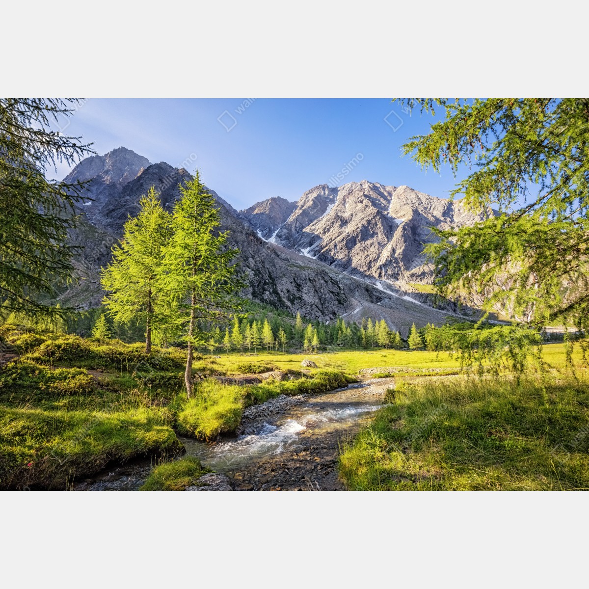 Fototapeta alpejska łąka z górskim strumieniem – Wallissimo® Fototapeta alpejska łąka z górskim strumieniem – Wallissimo®