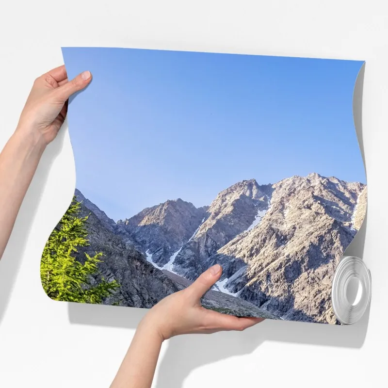 Fototapeta alpejska łąka z górskim strumieniem – Wallissimo® Fototapeta alpejska łąka z górskim strumieniem – Wallissimo®