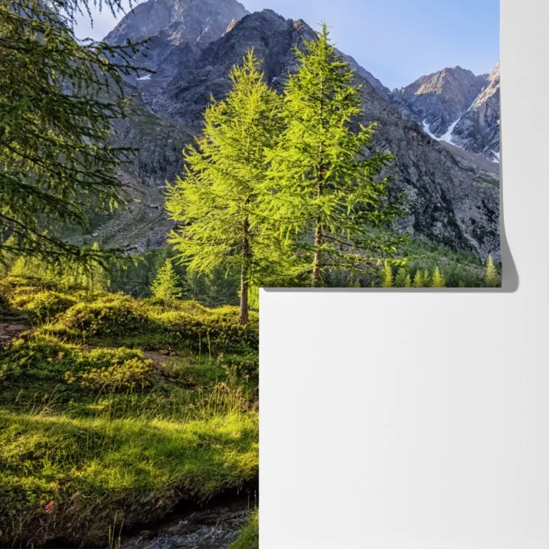 Fototapeta alpejska łąka z górskim strumieniem – Wallissimo® Fototapeta alpejska łąka z górskim strumieniem – Wallissimo®
