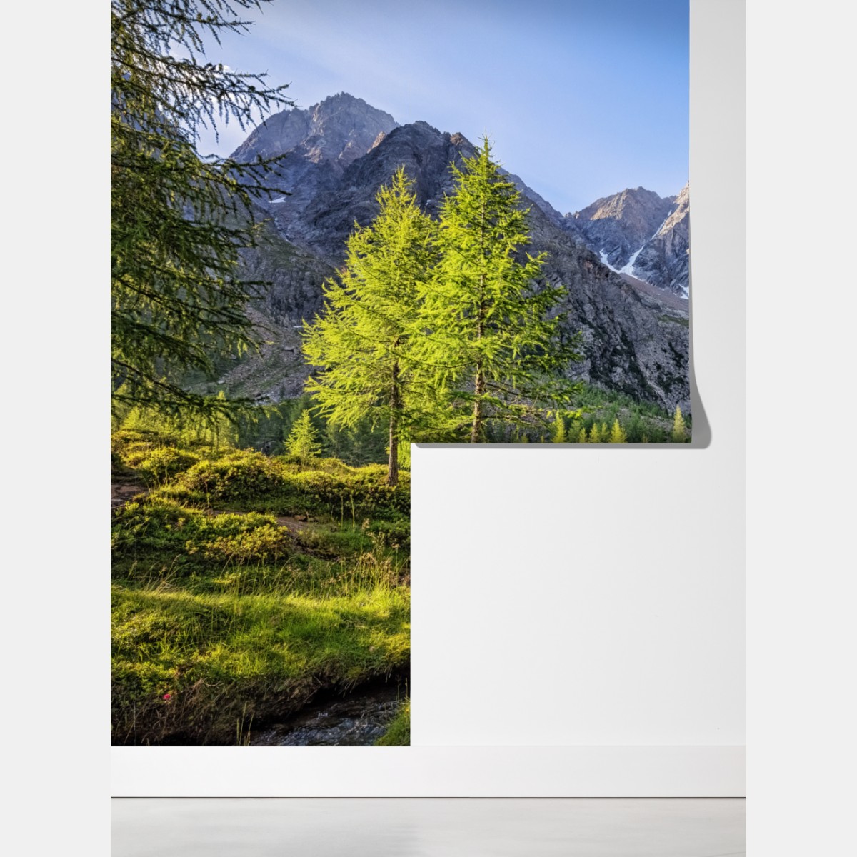 Fototapeta alpejska łąka z górskim strumieniem – Wallissimo® Fototapeta alpejska łąka z górskim strumieniem – Wallissimo®