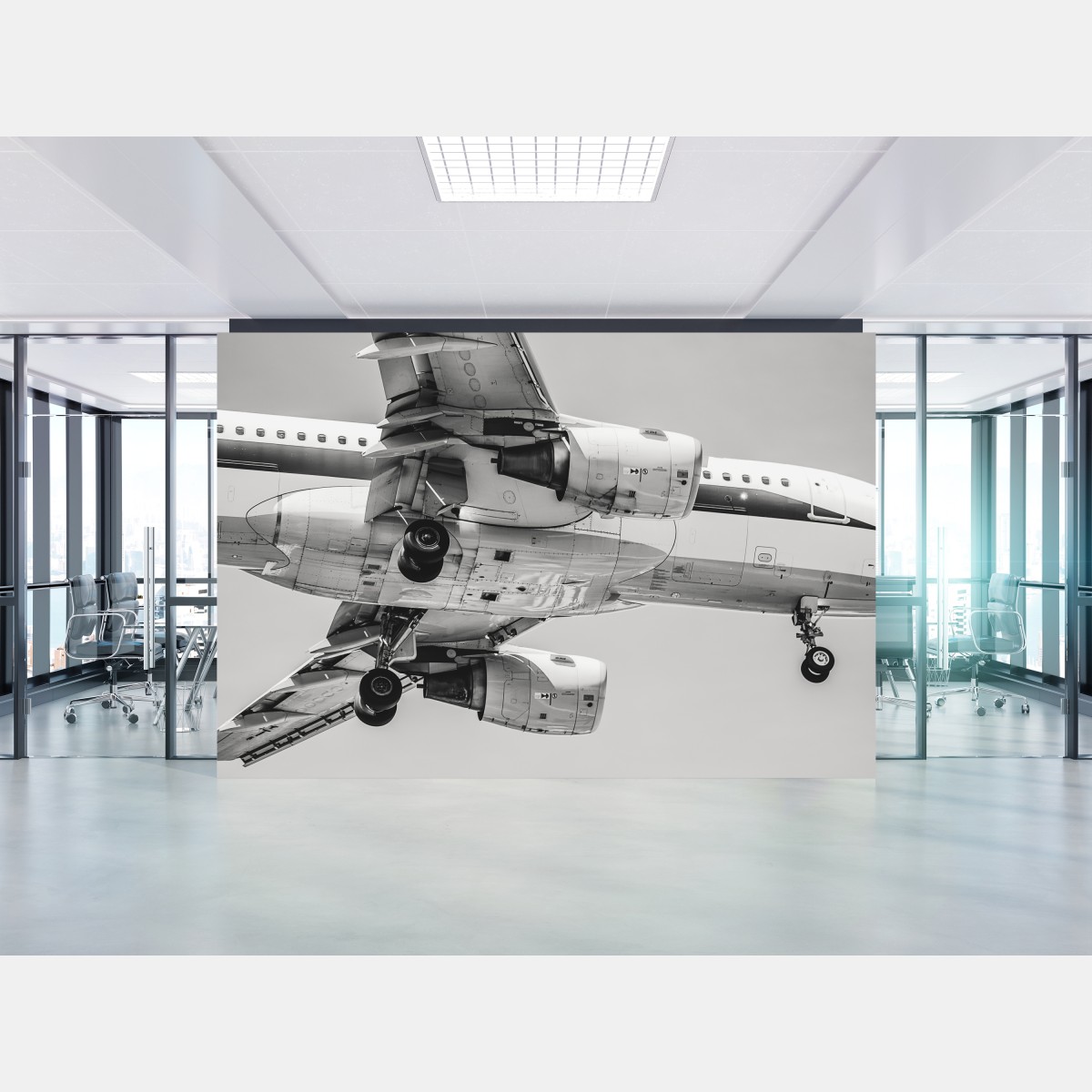 Wall mural underneath view of a jet aircraft
