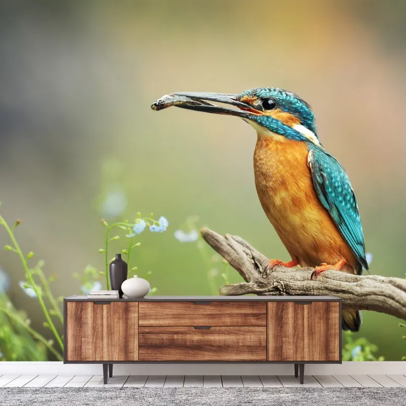 Fototapeta zimorodek na gałęzi z rybą