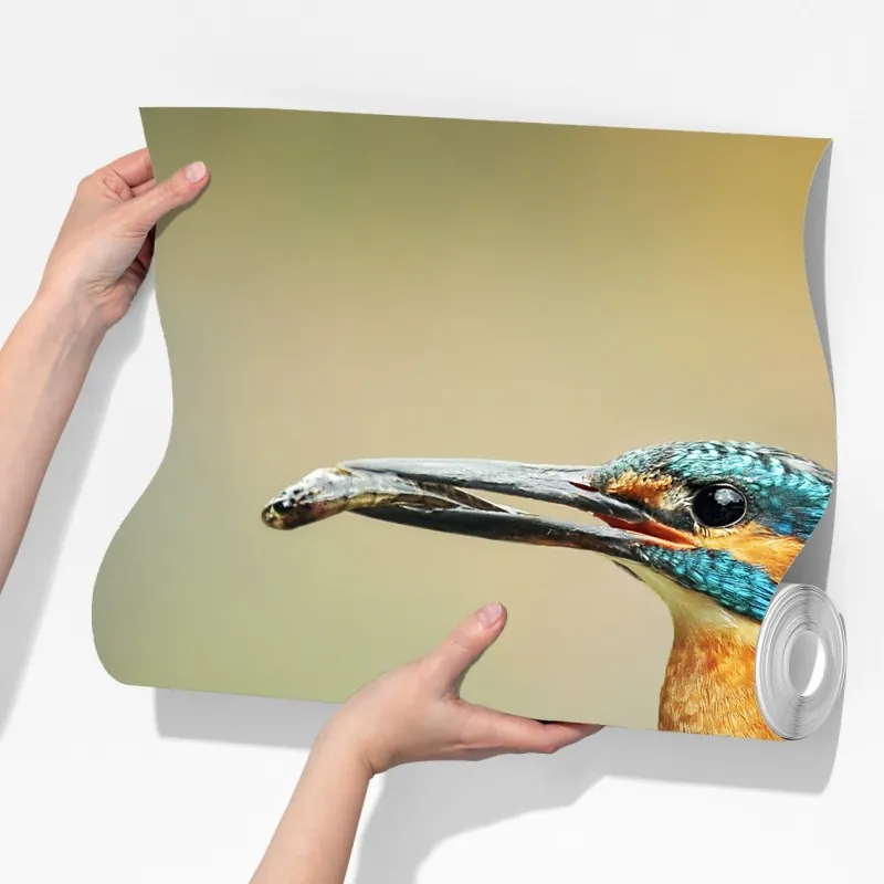 Fototapeta zimorodek na gałęzi z rybą – Wallissimo® Fototapeta zimorodek na gałęzi z rybą – Wallissimo®