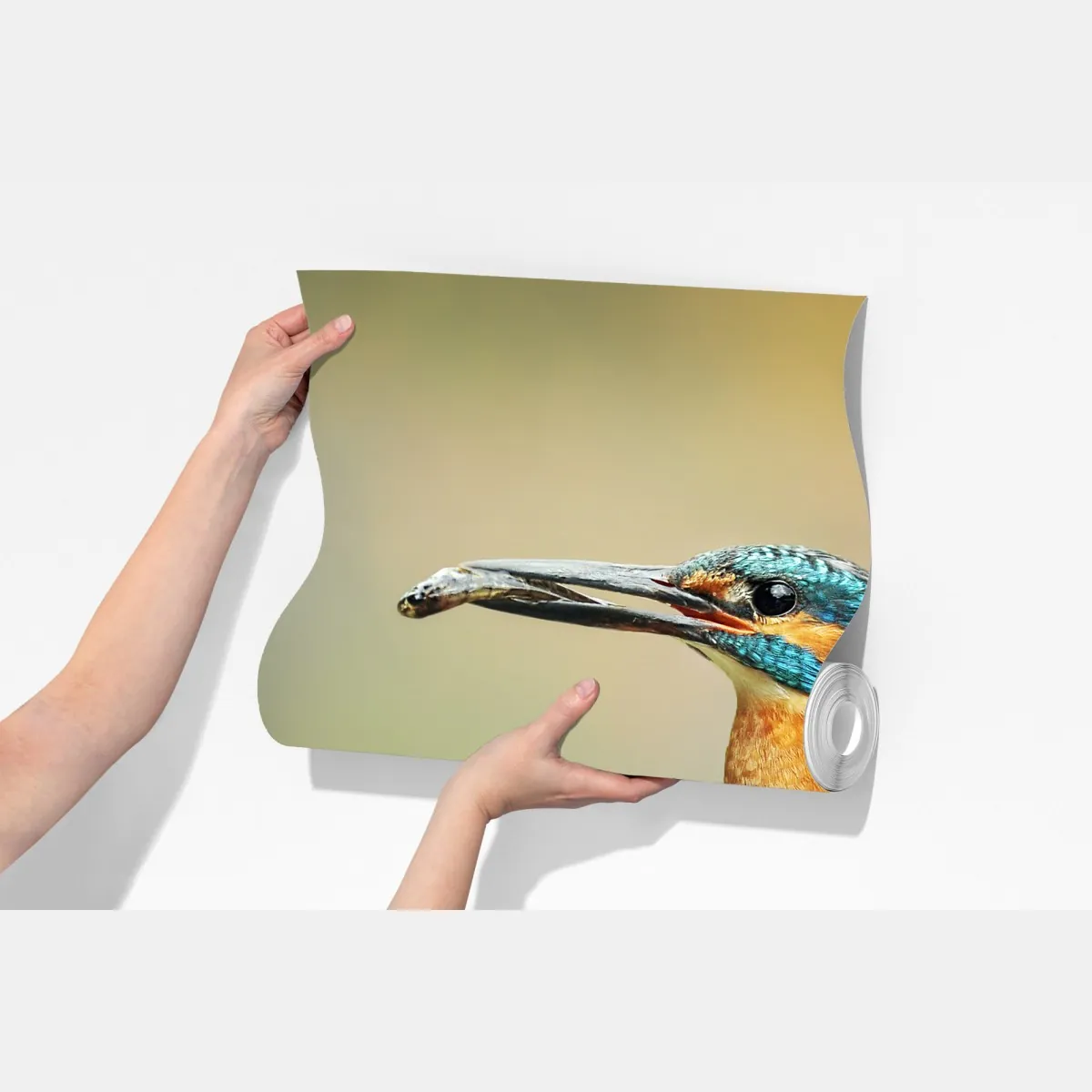 Fototapeta zimorodek na gałęzi z rybą – Wallissimo® Fototapeta zimorodek na gałęzi z rybą – Wallissimo®