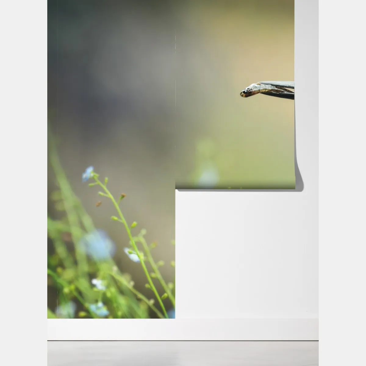 Fototapeta zimorodek na gałęzi z rybą – Wallissimo® Fototapeta zimorodek na gałęzi z rybą – Wallissimo®