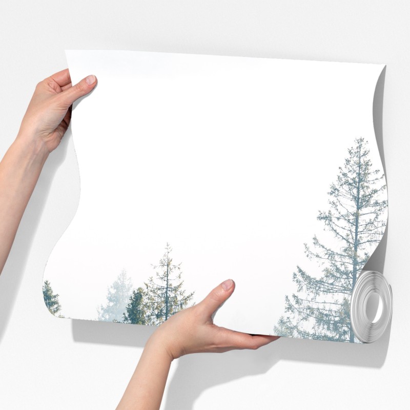 Fototapeta mglisty las świerków o poranku – Wallissimo® Fototapeta mglisty las świerków o poranku – Wallissimo®