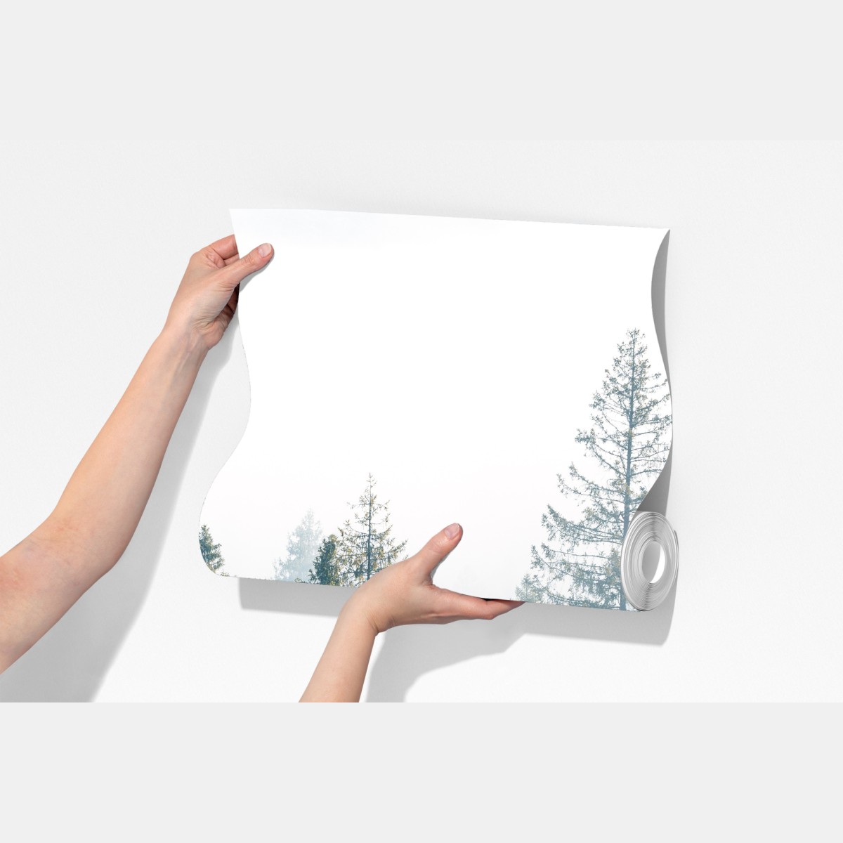 Fototapeta mglisty las świerków o poranku – Wallissimo® Fototapeta mglisty las świerków o poranku – Wallissimo®