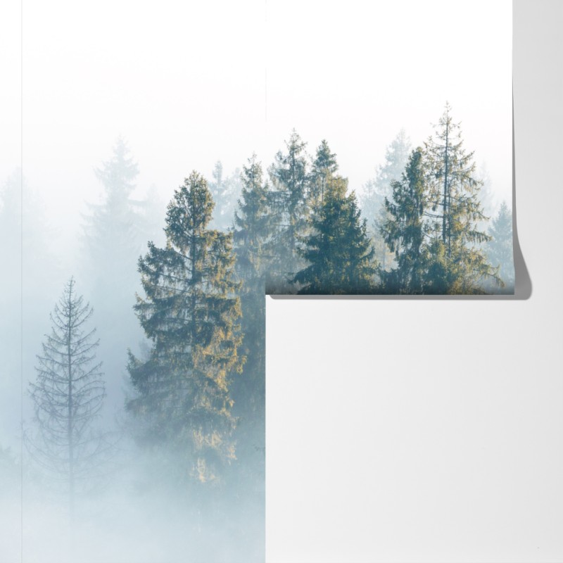 Fototapeta mglisty las świerków o poranku – Wallissimo® Fototapeta mglisty las świerków o poranku – Wallissimo®