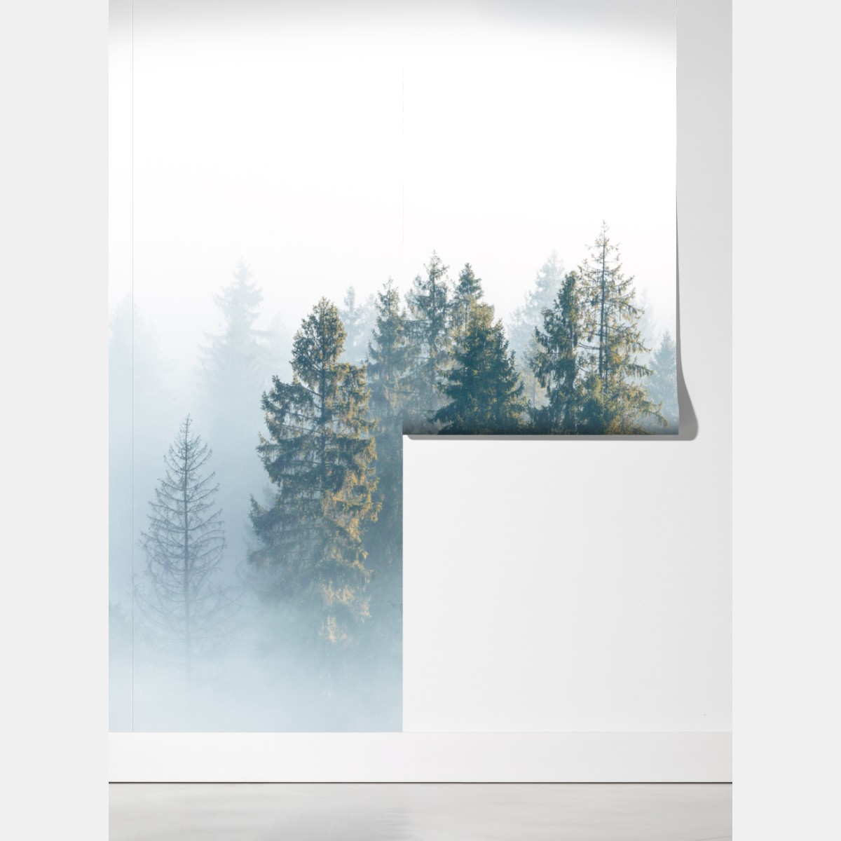 Fototapeta mglisty las świerków o poranku – Wallissimo® Fototapeta mglisty las świerków o poranku – Wallissimo®