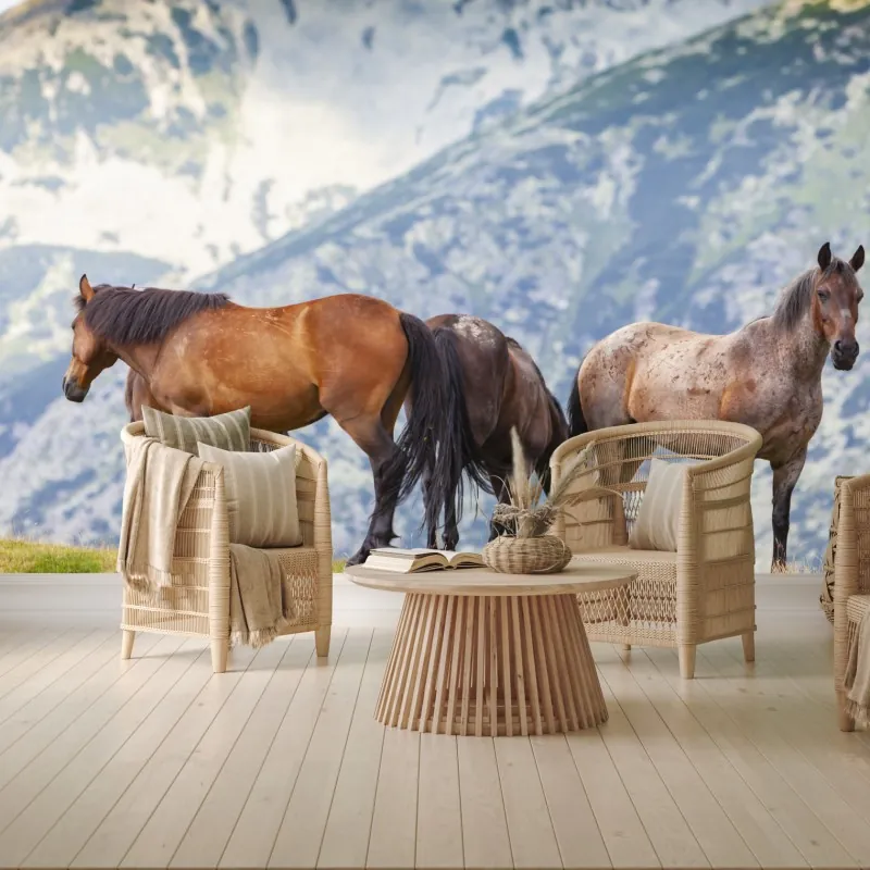 Fototapeta konie na górskiej łące