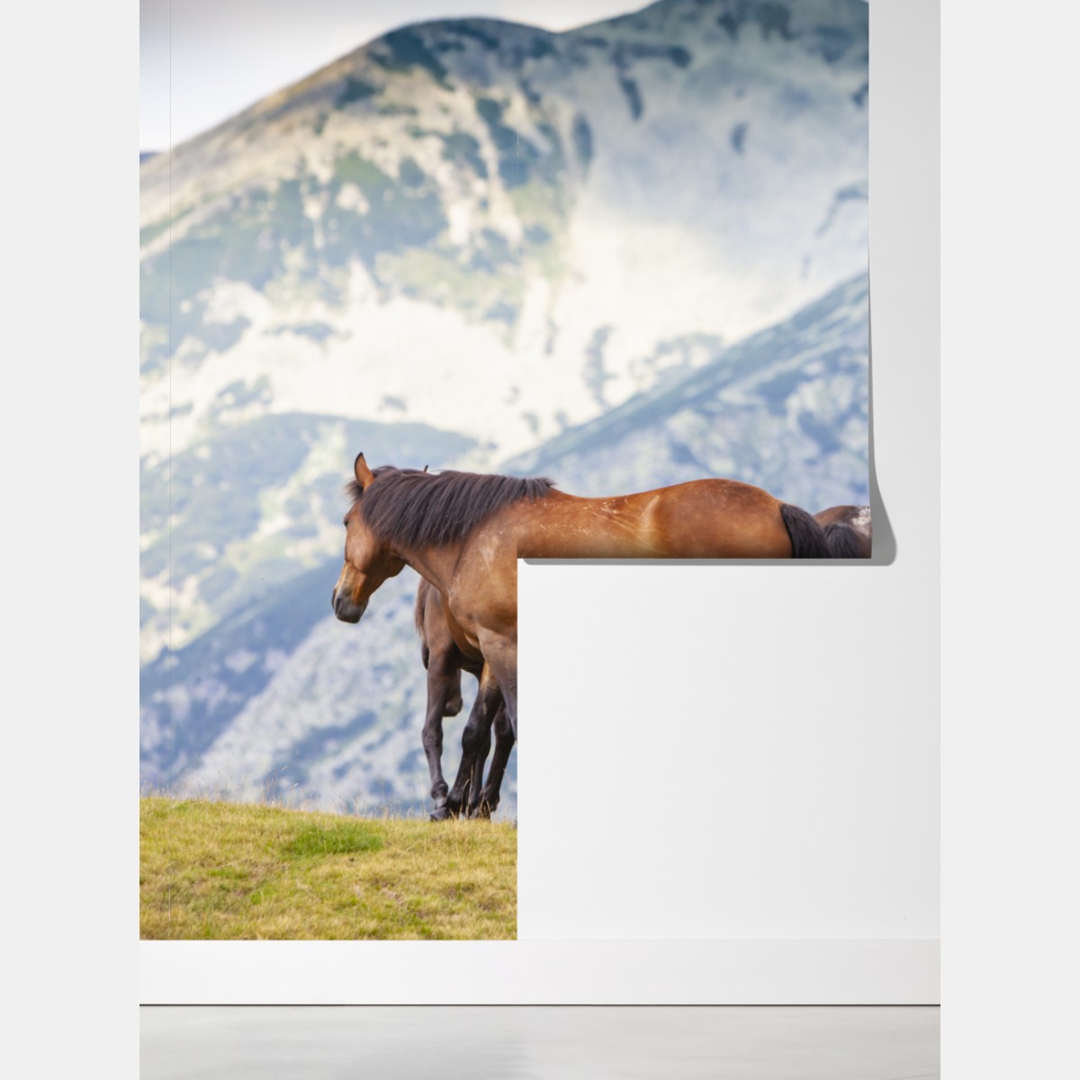 Fototapeta konie na górskiej łące – Wallissimo® Fototapeta konie na górskiej łące – Wallissimo®