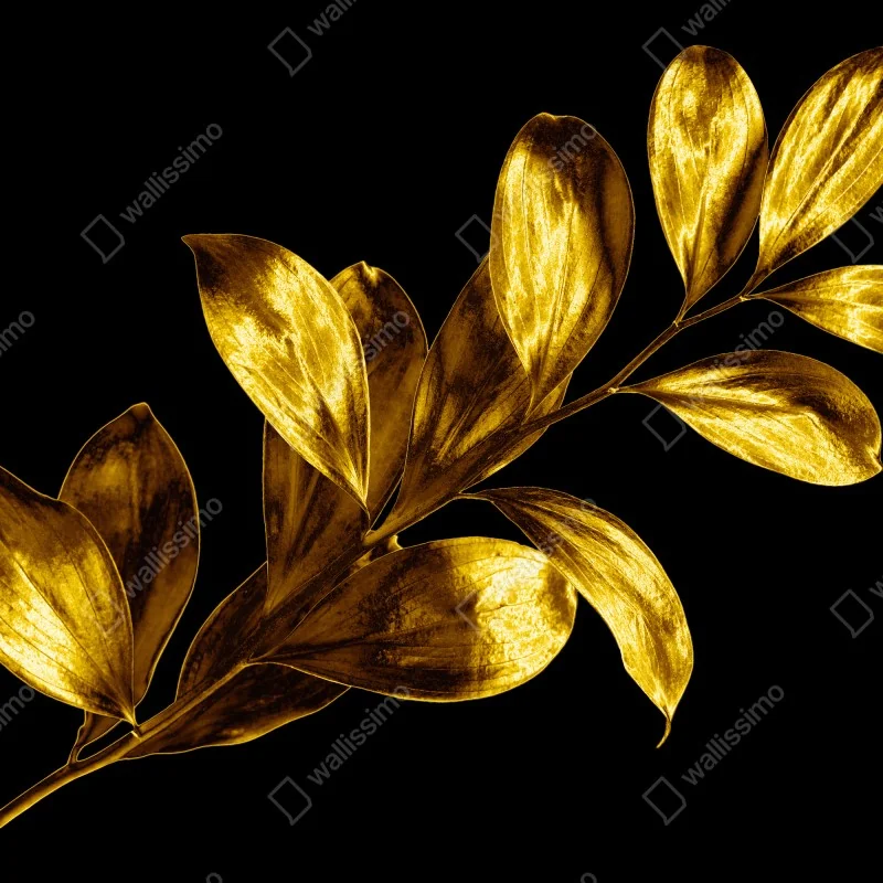 Fototapeta złota gałąź liści na czarnym tle – Wallissimo® Fototapeta złota gałąź liści na czarnym tle – Wallissimo®