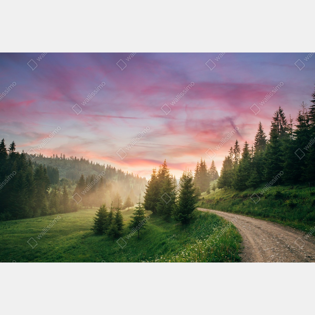 Fototapeta mglisty zachód słońca w sosnowym lesie – Wallissimo® Fototapeta mglisty zachód słońca w sosnowym lesie – Wallissimo®