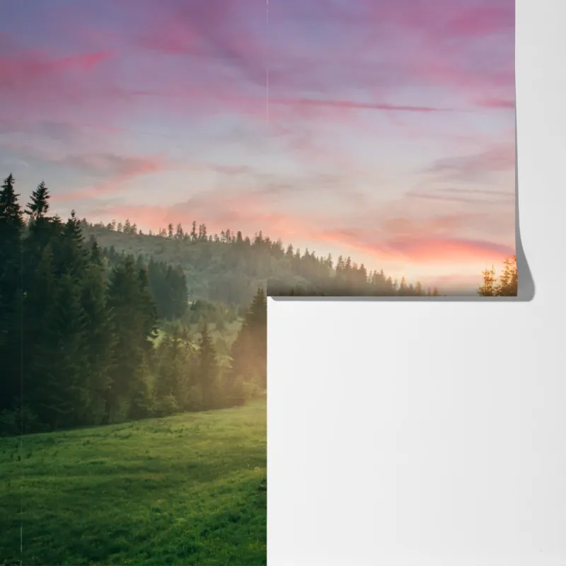 Fototapeta mglisty zachód słońca w sosnowym lesie – Wallissimo® Fototapeta mglisty zachód słońca w sosnowym lesie – Wallissimo®