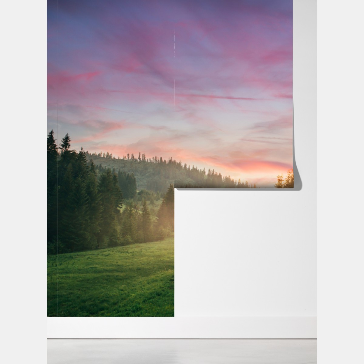 Fototapeta mglisty zachód słońca w sosnowym lesie – Wallissimo® Fototapeta mglisty zachód słońca w sosnowym lesie – Wallissimo®