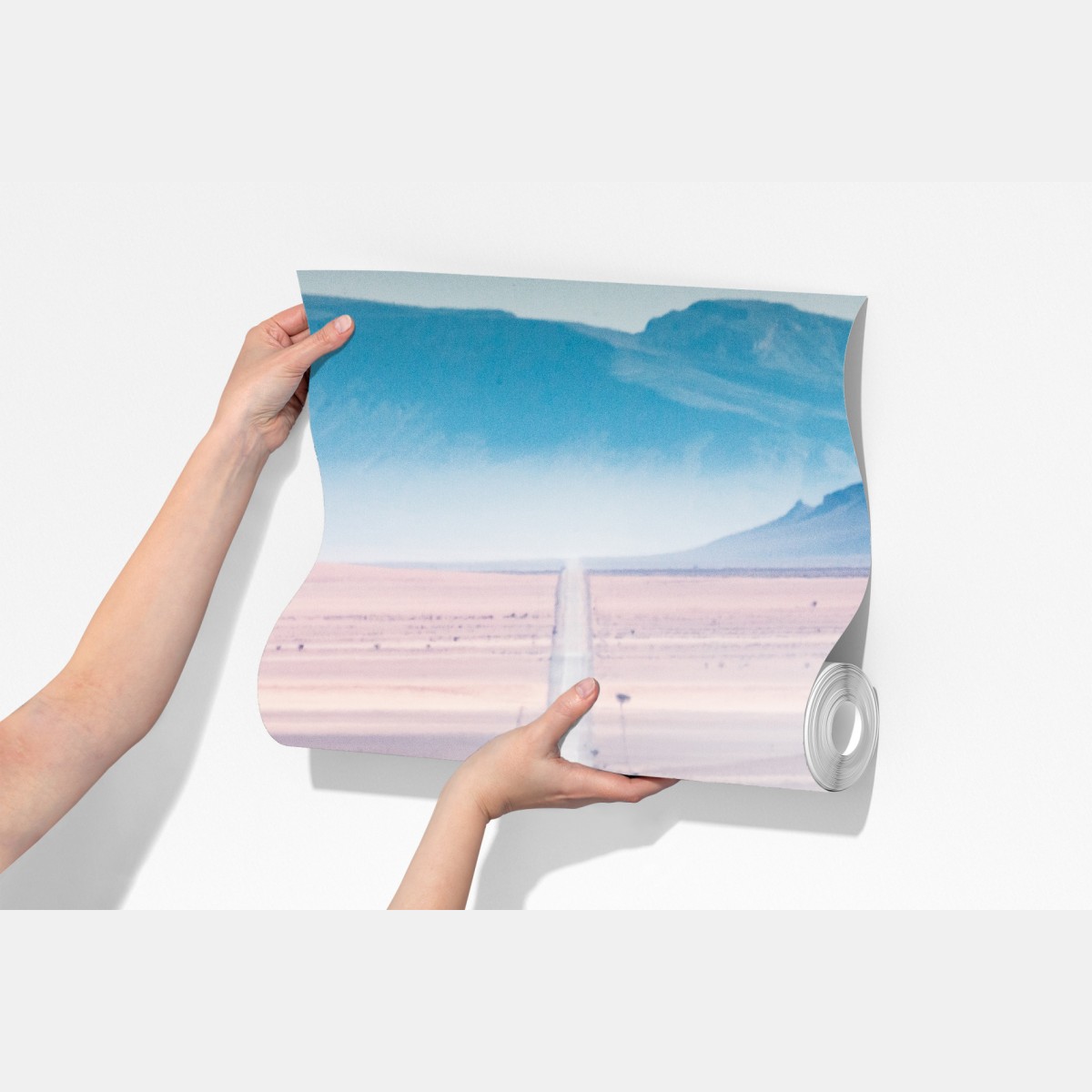 Fototapeta zebra na pustynnej drodze – Wallissimo® Fototapeta zebra na pustynnej drodze – Wallissimo®