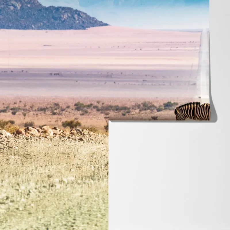 Fototapeta zebra na pustynnej drodze – Wallissimo® Fototapeta zebra na pustynnej drodze – Wallissimo®