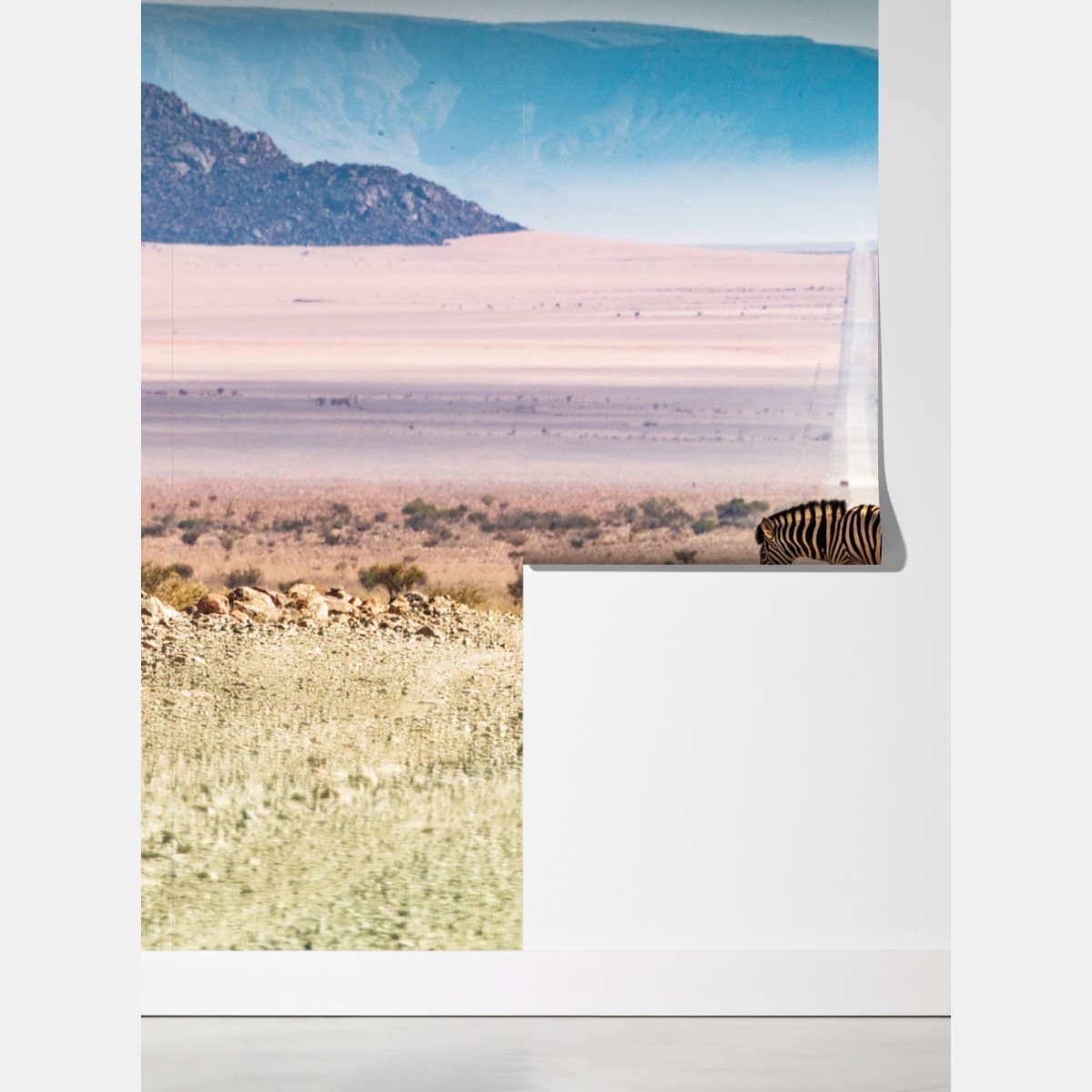 Fototapeta zebra na pustynnej drodze – Wallissimo® Fototapeta zebra na pustynnej drodze – Wallissimo®