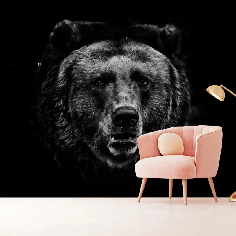 Fototapeta mroczny portret niedźwiedzia grizzly