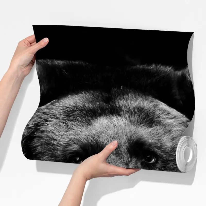 Fototapeta mroczny portret niedźwiedzia grizzly – Wallissimo® Fototapeta mroczny portret niedźwiedzia grizzly – Wallissimo®