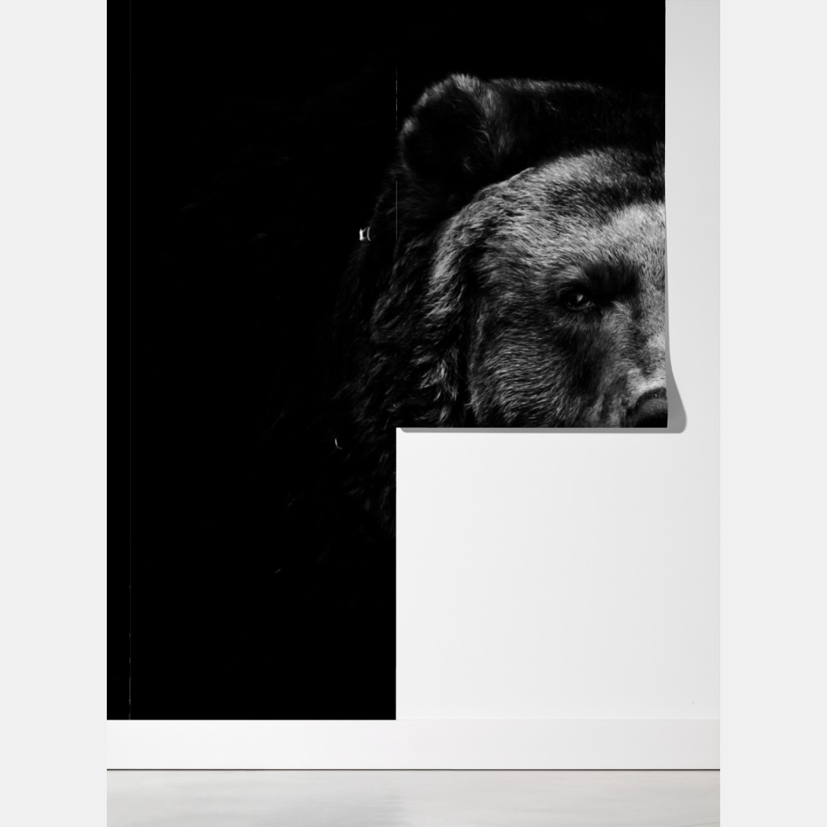 Fototapeta mroczny portret niedźwiedzia grizzly – Wallissimo® Fototapeta mroczny portret niedźwiedzia grizzly – Wallissimo®