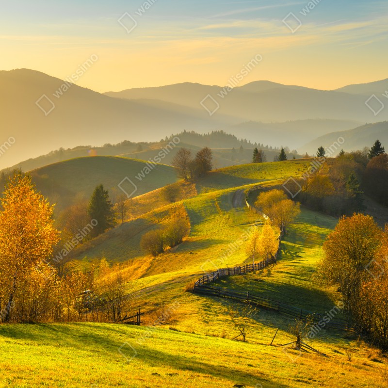 Fototapeta złote jesienne wzgórza o zachodzie słońca – Wallissimo® Fototapeta złote jesienne wzgórza o zachodzie słońca – Wallissimo®