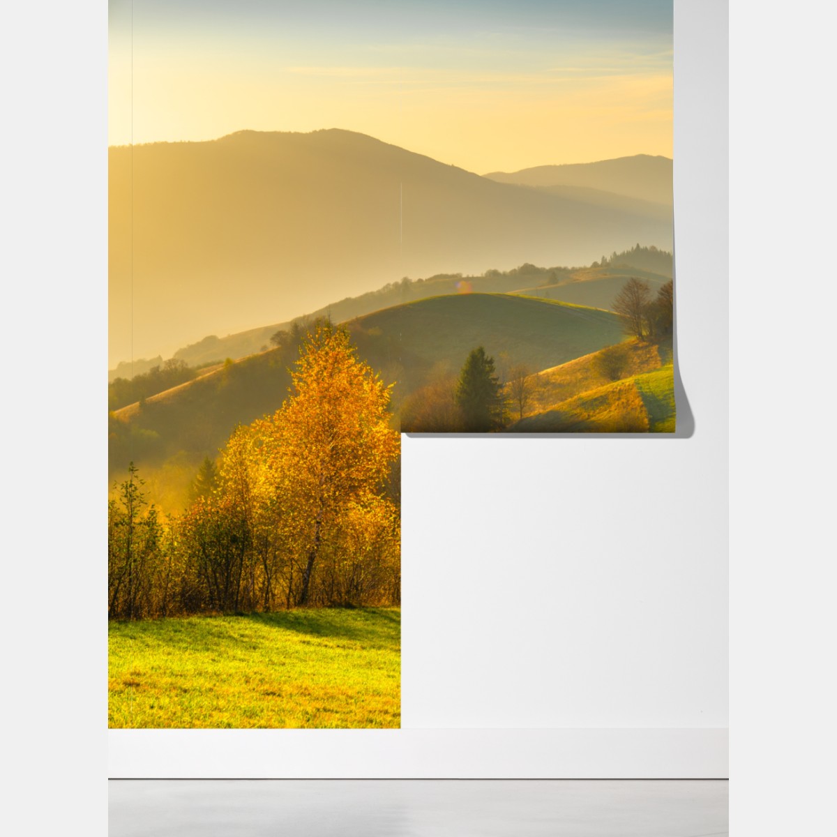 Fototapeta złote jesienne wzgórza o zachodzie słońca – Wallissimo® Fototapeta złote jesienne wzgórza o zachodzie słońca – Wallissimo®